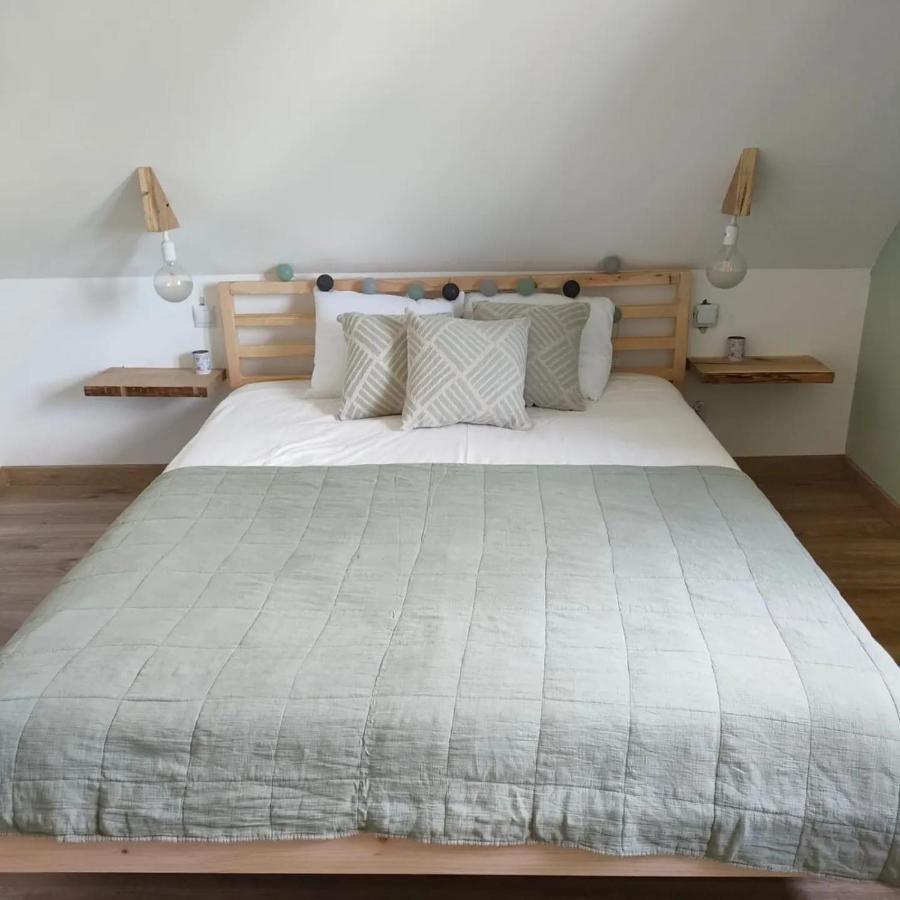 Leszczynowe Zacisze Villa Wiele Kültér fotó
